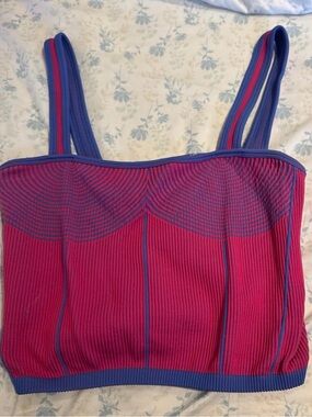 Zara Pink and Blue Ribbed Bandeau Tank